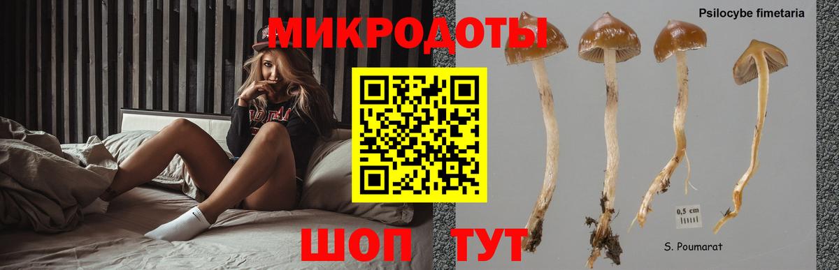 как найти закладки  Вход с VPN  Псилоцибиновые грибы мицелий  Нижний Новгород  Псилоцибиновые грибы ЛСД 